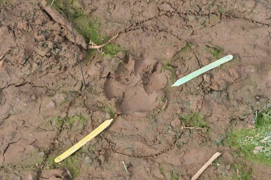 The ‘Tracker’, it’s an evocative word conjuring images of frontier life, indigenous tribes and man hunters.