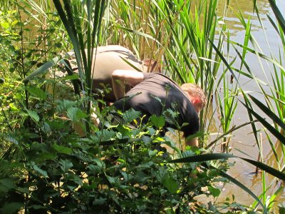 In the wild diet starchy carbohydrates are difficult to find at least in the woods and hedgerows and in any meaningful quantities.
